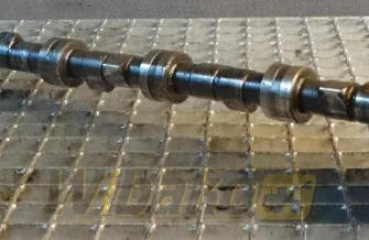 Wałek rozrządu Deutz BF6L913 2234876