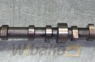 Wałek rozrządu Caterpillar 3064 GI12A