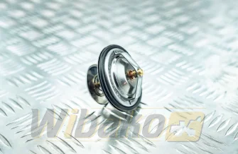 Termostat Stahlter 6M116.79