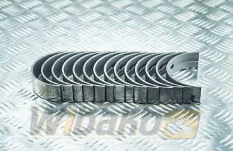 Panewki główne 0.75 Mahle D906/D916/D926 439HS21054075