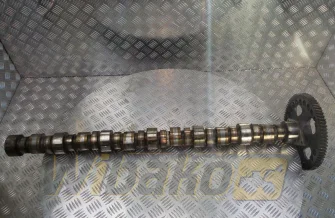 Wałek rozrządu Cummins M11 CELECT PLUS 3895786