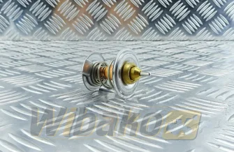 Termostat Thermotec D2CL001TT
