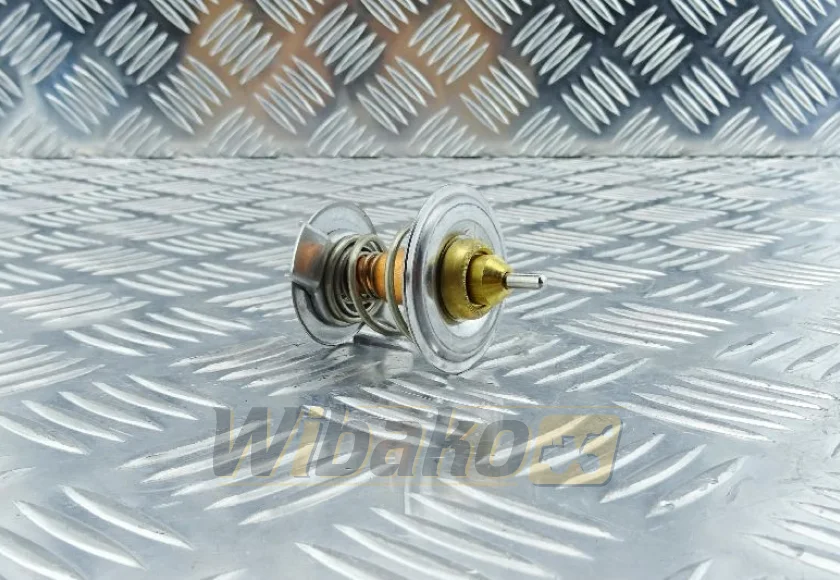 Termostat Thermotec D2CL001TT – nowy