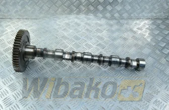 Wałek rozrządu Deutz TCD3.6 L4 04125160/04125134