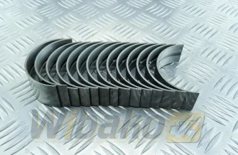 Panewki główne AIP 1006 U5MB0007A/11010044
