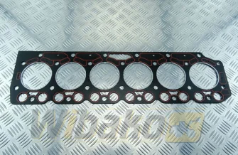 Uszczelka głowicy Silnika wbk BF6M1012 04209896