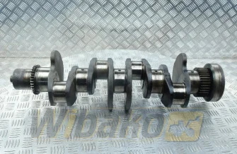 Wał korbowy Cummins 5289840