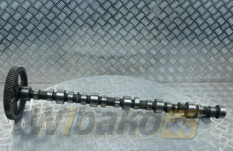 Wałek rozrządu Cummins 8.3 3914640