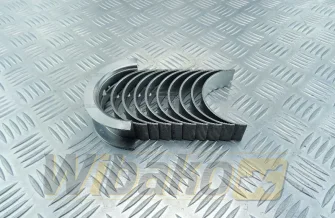 Panewki główne STD Kolbenschmidt 77800600