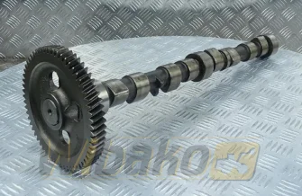 Wałek rozrządu Liebherr D504 7090038/R135439/R133812