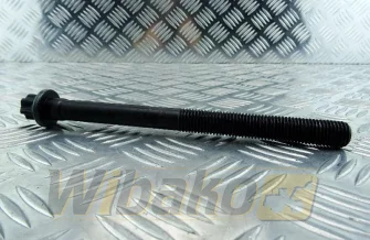 Śruba głowicy M16x2.0x195x100 wbk 10131573