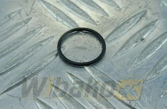 O-ring wtryskiwacza wbk 7381843