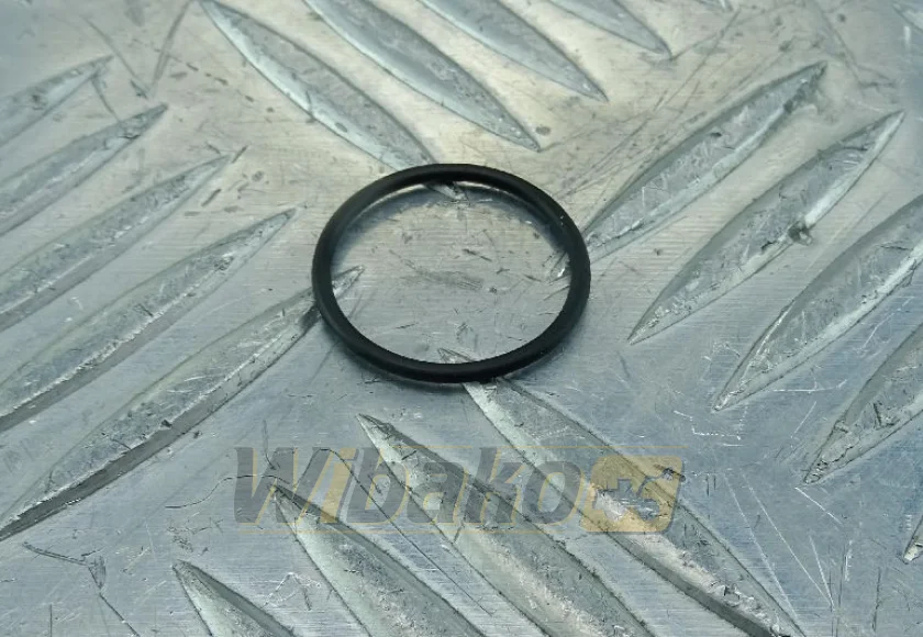 O-ring wtryskiwacza wbk 7381843 – nowy