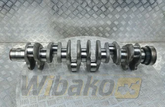 Wał korbowy Deutz 04502707