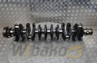 Wał korbowy do silnika Deutz BF6M1013 04209125R