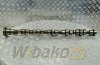 Wałek rozrządu Cummins 4893202