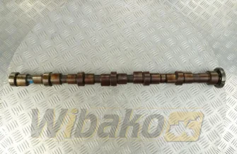 Wałek rozrządu Iveco 4896421