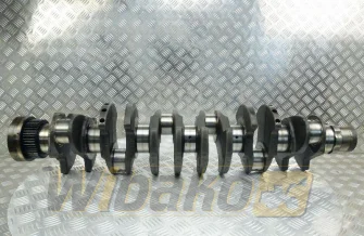 Wał korbowy Deutz 04501008