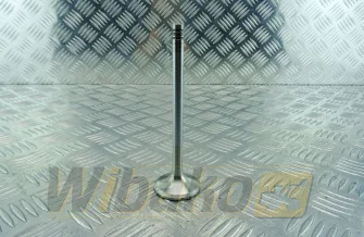 Zawór wydechowy TRW 22220