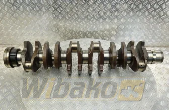 Wał korbowy Deutz 04501008