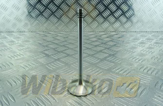 Zawór ssący TRW 22209