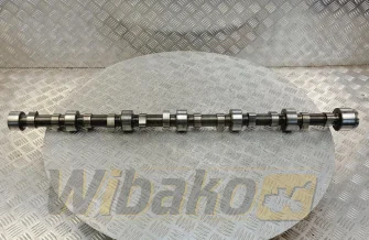 Wałek rozrządu do silnika Volvo TD103 8194480