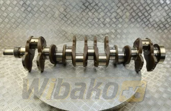 Wał korbowy do silnika Volvo TD102KCE 20381957