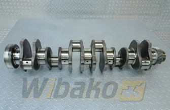 Wał korbowy Cummins 3073707