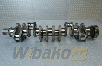 Wał korbowy do silnika Cummins ISBE5.9 4896767