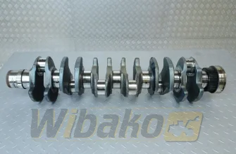 Wał korbowy do silnika Deutz BF6M1013 02929571