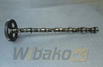 Wałek rozrządu do silnika Cummins 8.3 3924471