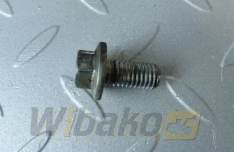 Śruba tłumika drgań M10x20 Deutz 01181393
