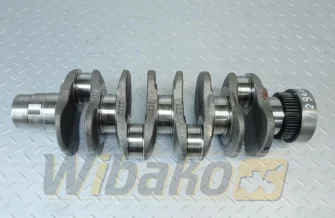 Wał korbowy Deutz 04502706