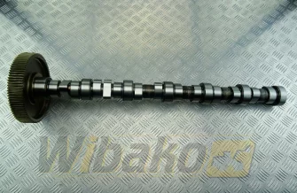 Wałek rozrządu BF Original 20100520136
