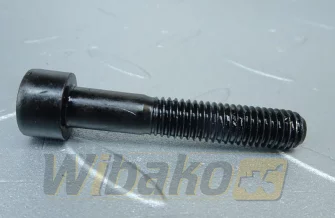 Śruba pompy oleju ISO4762 M8x45 8.8 480H Liebherr 12206699