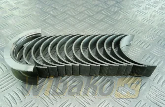 Panewki główne STD Kolbenschmidt 77798600