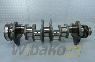 Wał korbowy do silnika Cummins 3.9 3929036
