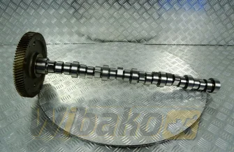 Wałek rozrządu BF Original 20100390601