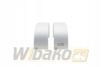 Panewki korbowodowe 0.25 wbk 9887751