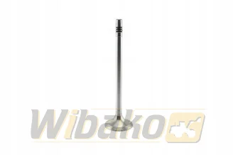 Zawór ssący wbk D9508 10120987