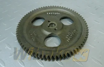 Koło zębate pompy wtryskowej Z=72 Cummins 3920594