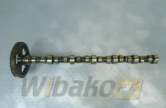 Wałek rozrządu do silnika Cummins 8.3 3924471