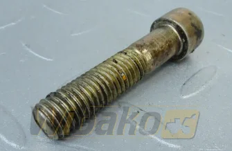Śruba obudowy koła zamachowego ISO4762 M12x55 10.9FLZN Liebherr 11321132
