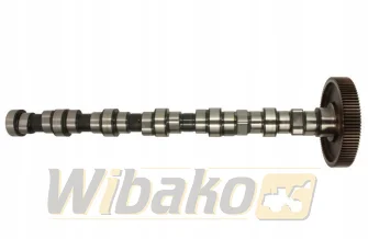 Wałek rozrządu BF Original 20100520136