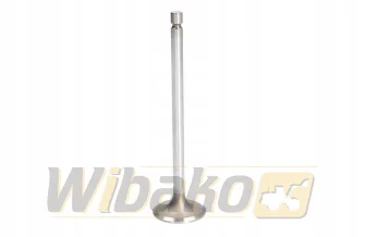 Zawór ssący TRW 105-35632