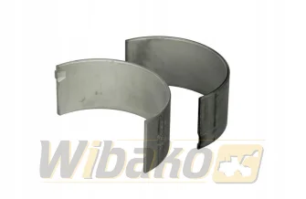 Panewki korbowodowe 0.25 Kolbenschmidt 79331610