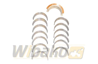 Panewki główne WIBAKO 6CT 3802210