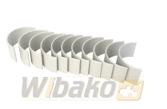 Panewki korbowodowe WIBAKO M11/LT10 3016762