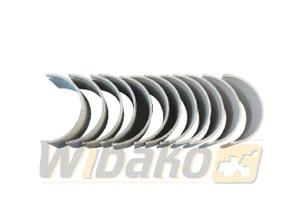 Panewki korbowodowe WIBAKO 6CT8.3 3950663