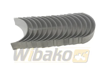 Panewki główne STD Mahle D906/D916/D926 439HS21054000